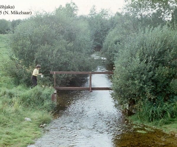 Maakond: Järvamaa Veekogu nimi: Esna jõgi Pildistamise aeg: 21. august 1975 Pildistaja: N. Mikelsaar Pildistamise koht: P Asimuut:
