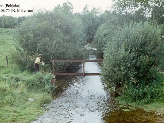 Maakond: Järvamaa Veekogu nimi: Esna jõgi Pildistamise aeg: 21. august 1975 Pildistaja: N. Mikelsaar Pildistamise koht: P Asimuut: