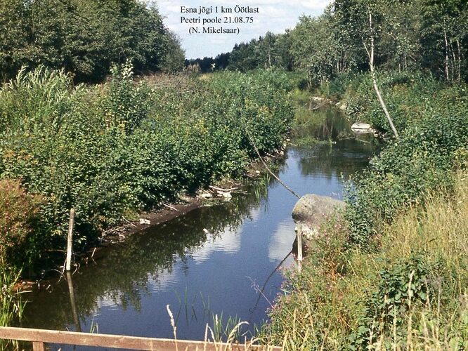 Maakond: Järvamaa Veekogu nimi: Esna jõgi Pildistamise aeg: 21. august 1975 Pildistaja: N. Mikelsaar Pildistamise koht: 1 km Asimuut: