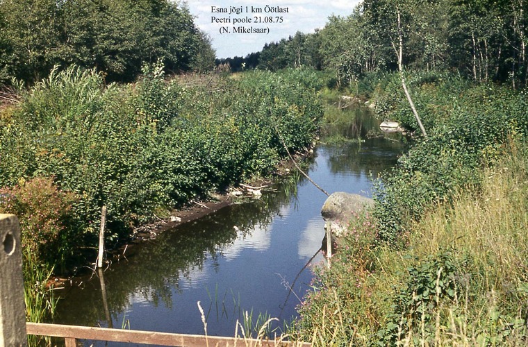 Maakond: Järvamaa Veekogu nimi: Esna jõgi Pildistamise aeg: 21. august 1975 Pildistaja: N. Mikelsaar Pildistamise koht: 1 km Asimuut: