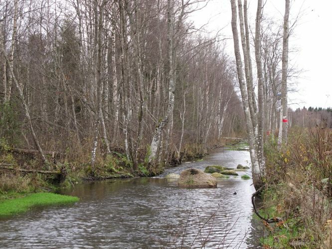 Maakond: Järvamaa Veekogu nimi: Esna jõgi Pildistamise aeg: 24. oktoober 2012 Pildistaja: H. Timm Pildistamise koht: Öötla 2 Asimuut: