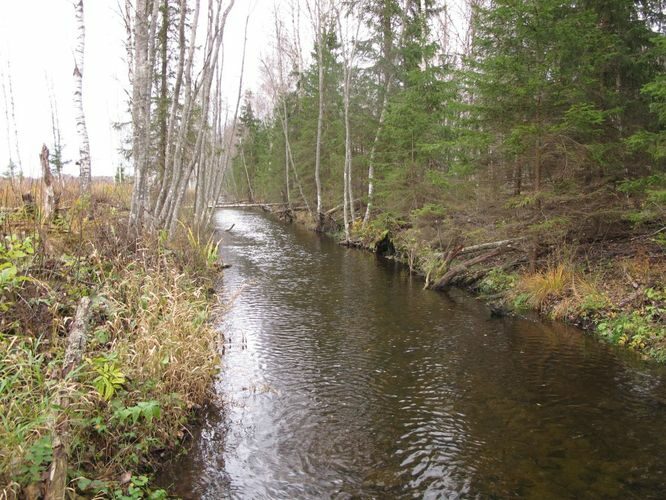 Maakond: Järvamaa Veekogu nimi: Esna jõgi Pildistamise aeg: 24. oktoober 2012 Pildistaja: H. Timm Pildistamise koht: truup 2 Asimuut: