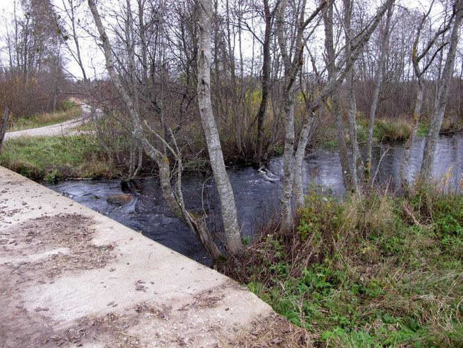 Maakond: Järvamaa Veekogu nimi: Esna jõgi Pildistamise aeg: 24. oktoober 2012 Pildistaja: H. Timm Pildistamise koht: Mündi Asimuut: