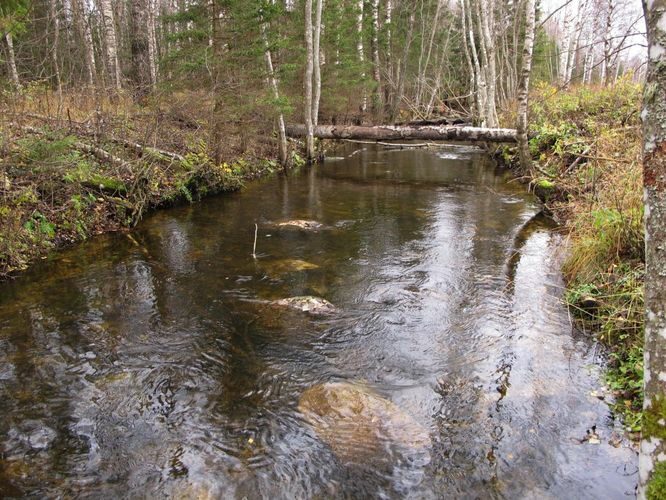 Maakond: Järvamaa Veekogu nimi: Esna jõgi Pildistamise aeg: 24. oktoober 2012 Pildistaja: H. Timm Pildistamise koht: truup 2 Asimuut: