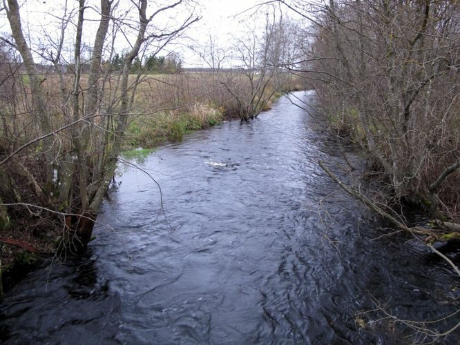 Maakond: Järvamaa Veekogu nimi: Esna jõgi Pildistamise aeg: 24. oktoober 2012 Pildistaja: H. Timm Pildistamise koht: Mündi Asimuut: