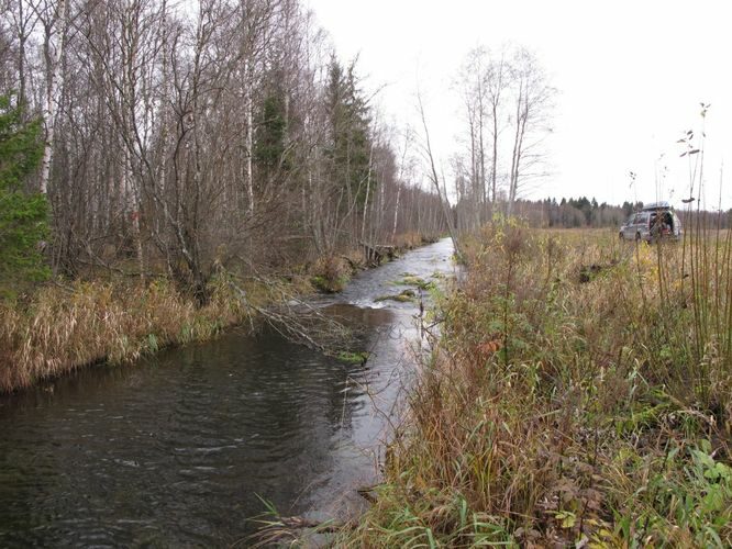 Maakond: Järvamaa Veekogu nimi: Esna jõgi Pildistamise aeg: 24. oktoober 2012 Pildistaja: H. Timm Pildistamise koht: Öötla 3 Asimuut: