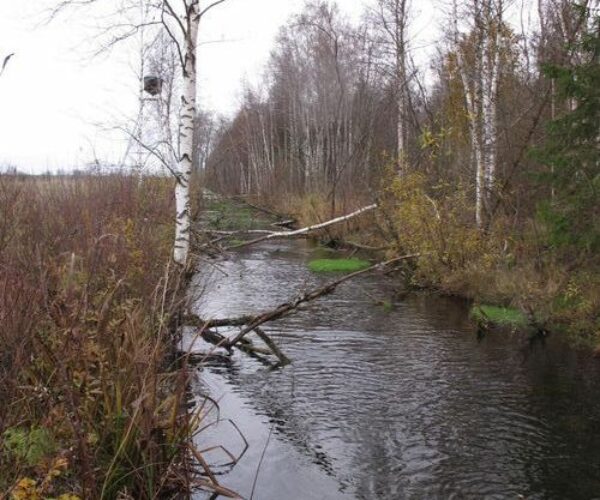 Maakond: Järvamaa Veekogu nimi: Esna jõgi Pildistamise aeg: 24. oktoober 2012 Pildistaja: H. Timm Pildistamise koht: Öötla 3 Asimuut: