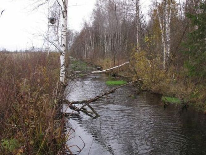 Maakond: Järvamaa Veekogu nimi: Esna jõgi Pildistamise aeg: 24. oktoober 2012 Pildistaja: H. Timm Pildistamise koht: Öötla 3 Asimuut: