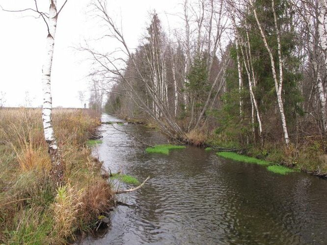 Maakond: Järvamaa Veekogu nimi: Esna jõgi Pildistamise aeg: 24. oktoober 2012 Pildistaja: H. Timm Pildistamise koht: Öötla 2 Asimuut: