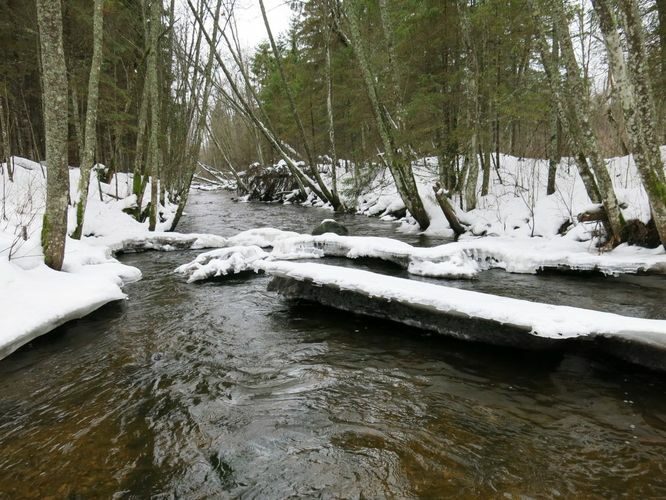 Maakond: Järvamaa Veekogu nimi: Esna jõgi Pildistamise aeg: 31. detsember 2012 Pildistaja: H. Timm Pildistamise koht: koole Asimuut: