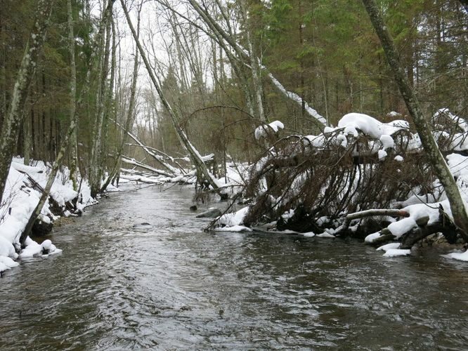 Maakond: Järvamaa Veekogu nimi: Esna jõgi Pildistamise aeg: 31. detsember 2012 Pildistaja: H. Timm Pildistamise koht: koole Asimuut: