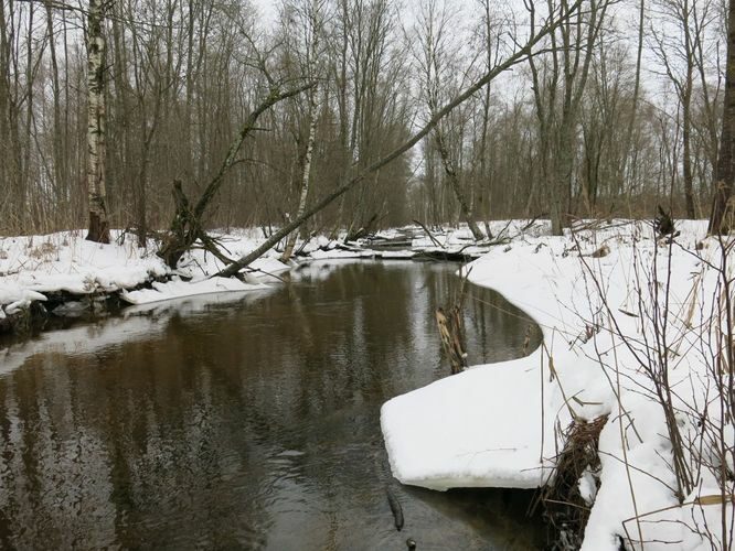 Maakond: Järvamaa Veekogu nimi: Esna jõgi Pildistamise aeg: 31. detsember 2012 Pildistaja: H. Timm Pildistamise koht: suurfarmi sillast vv Asimuut: