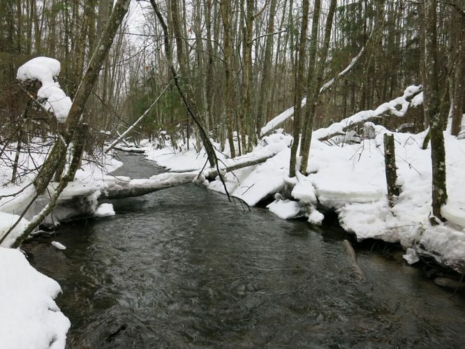 Maakond: Järvamaa Veekogu nimi: Esna jõgi Pildistamise aeg: 31. detsember 2012 Pildistaja: H. Timm Pildistamise koht: 200 m ülalp. Palu pkr. Asimuut: