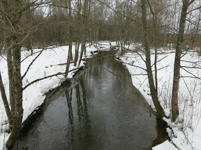 Maakond: Järvamaa Veekogu nimi: Esna jõgi Pildistamise aeg: 31. detsember 2012 Pildistaja: H. Timm Pildistamise koht: suurfarmi sillast pv Asimuut: