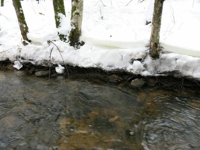 Maakond: Järvamaa Veekogu nimi: Esna jõgi Pildistamise aeg: 31. detsember 2012 Pildistaja: H. Timm Pildistamise koht: ülalp. Palu pkr. Asimuut: