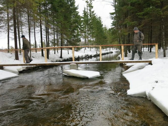 Maakond: Järvamaa Veekogu nimi: Esna jõgi Pildistamise aeg: 31. detsember 2012 Pildistaja: H. Timm Pildistamise koht: koole Asimuut: