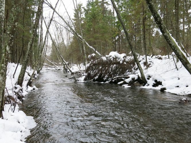 Maakond: Järvamaa Veekogu nimi: Esna jõgi Pildistamise aeg: 31. detsember 2012 Pildistaja: H. Timm Pildistamise koht: koole Asimuut: