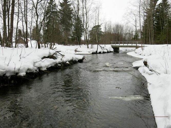 Maakond: Järvamaa Veekogu nimi: Esna jõgi Pildistamise aeg: 31. detsember 2012 Pildistaja: H. Timm Pildistamise koht: ülalp. Palu pkr. Asimuut: