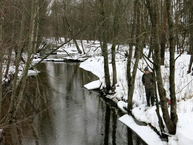 Maakond: Järvamaa Veekogu nimi: Esna jõgi Pildistamise aeg: 31. detsember 2012 Pildistaja: H. Timm Pildistamise koht: suurfarmi sillalt Asimuut: