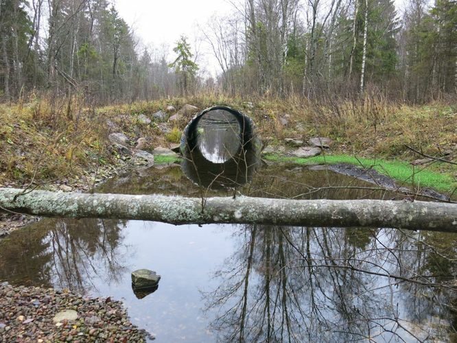 Maakond: Järvamaa Veekogu nimi: Esna jõgi Pildistamise aeg: 24. oktoober 2013 Pildistaja: H. Timm Pildistamise koht: Öötla tee ülemine truup Asimuut: