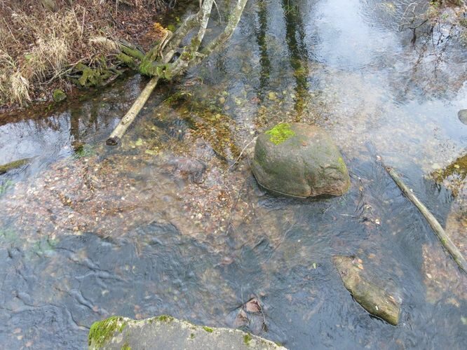 Maakond: Järvamaa Veekogu nimi: Esna jõgi Pildistamise aeg: 24. oktoober 2013 Pildistaja: H. Timm Pildistamise koht: Mündi Asimuut: