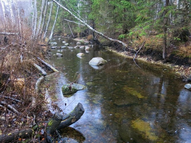 Maakond: Järvamaa Veekogu nimi: Esna jõgi Pildistamise aeg: 24. oktoober 2013 Pildistaja: H. Timm Pildistamise koht: Öötla tee alumisest truubist Asimuut:Maakond: Järvamaa Veekogu nimi: Esna jõgi Pildistamise aeg: 24. oktoober 2013 Pildistaja: H. Timm Pildistamise koht: Öötla tee alumisest truubist Asimuut: