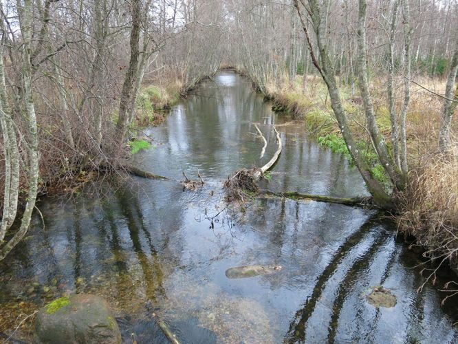 Maakond: Järvamaa Veekogu nimi: Esna jõgi Pildistamise aeg: 24. oktoober 2013 Pildistaja: H. Timm Pildistamise koht: Mündi Asimuut: