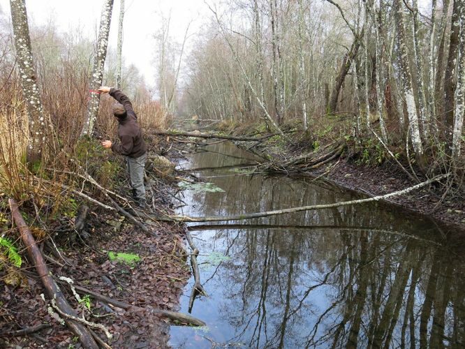 Maakond: Järvamaa Veekogu nimi: Esna jõgi Pildistamise aeg: 24. oktoober 2013 Pildistaja: H. Timm Pildistamise koht: Peetri teest 100 m vv Asimuut: