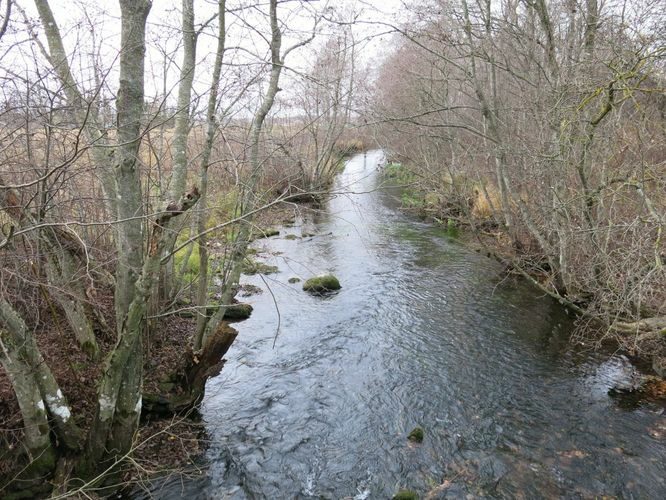 Maakond: Järvamaa Veekogu nimi: Esna jõgi Pildistamise aeg: 24. oktoober 2013 Pildistaja: H. Timm Pildistamise koht: Mündi Asimuut: