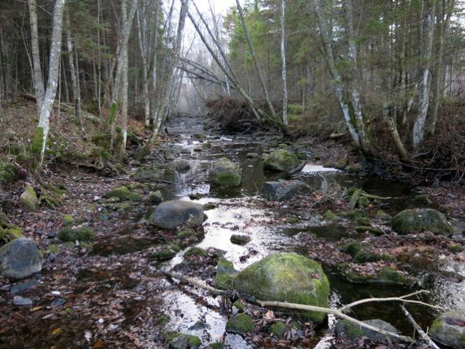 Maakond: Järvamaa Veekogu nimi: Esna jõgi Pildistamise aeg: 31. oktoober 2013 Pildistaja: H. Timm Pildistamise koht: Palu koole Asimuut: