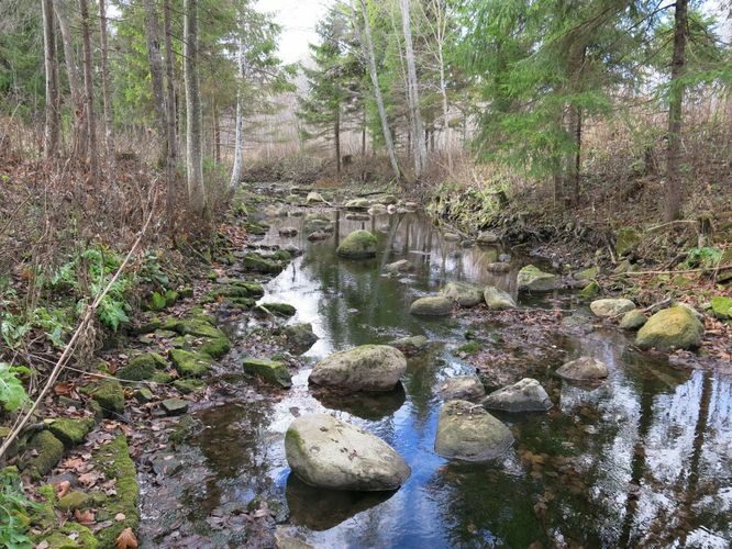 Maakond: Järvamaa Veekogu nimi: Esna jõgi Pildistamise aeg: 31. oktoober 2013 Pildistaja: H. Timm Pildistamise koht: Palu sillast pv Asimuut: