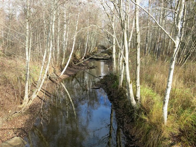 Maakond: Järvamaa Veekogu nimi: Esna jõgi Pildistamise aeg: 31. oktoober 2013 Pildistaja: H. Timm Pildistamise koht: Sargvere sillast vv Asimuut: