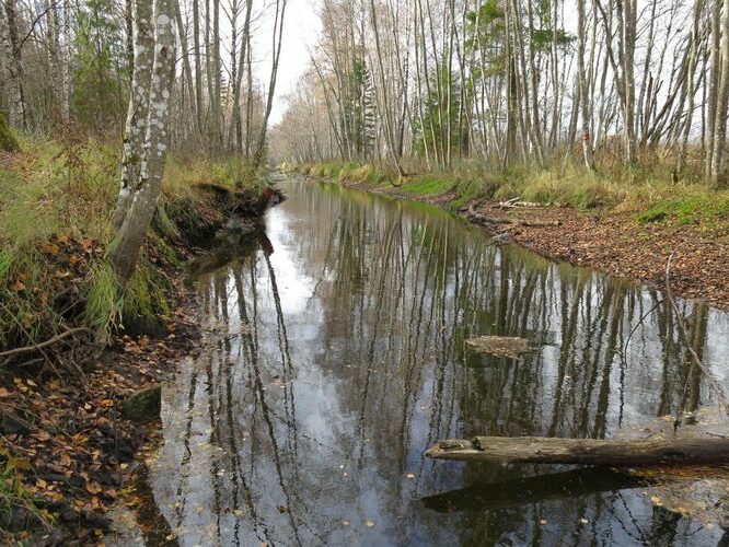 Maakond: Järvamaa Veekogu nimi: Esna jõgi Pildistamise aeg: 31. oktoober 2013 Pildistaja: H. Timm Pildistamise koht: Sargvere sillast pv Asimuut: