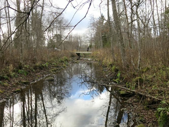 Maakond: Järvamaa Veekogu nimi: Esna jõgi Pildistamise aeg: 31. oktoober 2013 Pildistaja: H. Timm Pildistamise koht: Palu sild Asimuut: