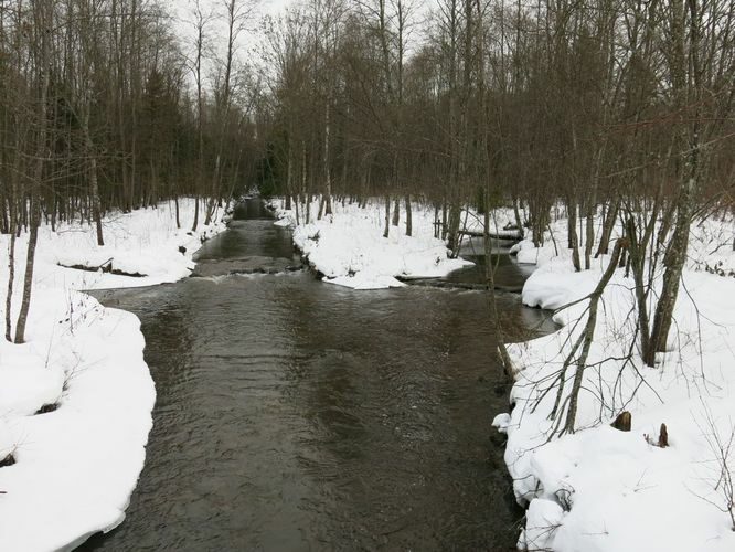 Maakond: Järvamaa Veekogu nimi: Esna jõgi ja Palu pkr. Pildistamise aeg: 31. detsember 2012 Pildistaja: H. Timm Pildistamise koht: teadmata Asimuut: