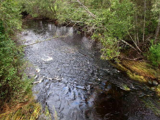 Maakond: Pärnumaa Veekogu nimi: Halliste jõgi Pildistamise aeg: 18. september 2010 Pildistaja: H. Timm Pildistamise koht: Kanaküla Asimuut: