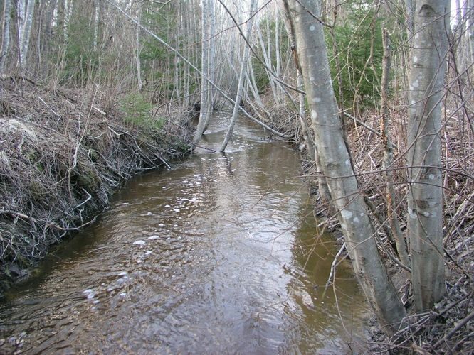 Maakond: Läänemaa Veekogu nimi: Hardu oja Pildistamise aeg: 19. aprill 2006 Pildistaja: H. Timm Pildistamise koht: allpool silda Asimuut: