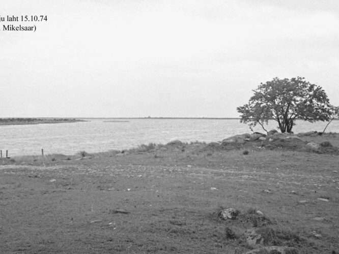 Maakond: Saaremaa Veekogu nimi: Harju laht Pildistamise aeg: 15. oktoober 1974 Pildistaja: N. Mikelsaar Pildistamise koht: teadmata Asimuut: