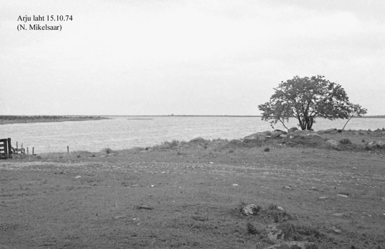 Maakond: Saaremaa Veekogu nimi: Harju laht Pildistamise aeg: 15. oktoober 1974 Pildistaja: N. Mikelsaar Pildistamise koht: teadmata Asimuut:
