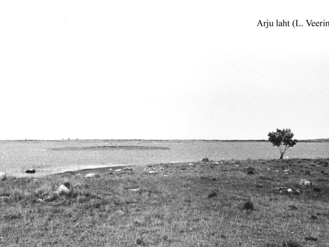 Maakond: Saaremaa Veekogu nimi: Harju laht Pildistamise aeg: teadmata Pildistaja: L. Veering (Eesti Looduse arhiiv) Pildistamise koht: teadmata Asimuut: