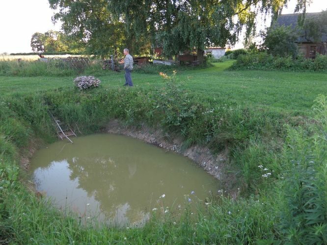 Maakond: Järvamaa Veekogu nimi: Heigaste talu tiik Pildistamise aeg: 7. juuli 2013 Pildistaja: H. Timm Pildistamise koht: Vao küla Asimuut: