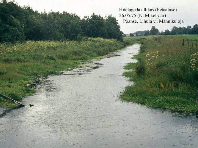 Maakond: Pärnumaa Veekogu nimi: Hiielageda allikas Pildistamise aeg: 26. mai 1975 Pildistaja: N. Mikelsaar Pildistamise koht: Petaaluse; M Asimuut: