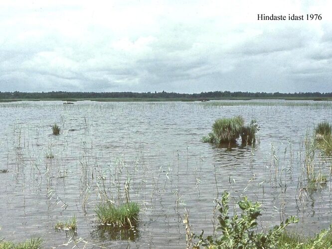 Maakond: Läänemaa Veekogu nimi: Hindaste Pildistamise aeg: teadmata Pildistaja: Pildistamise koht: E kaldalt Asimuut: