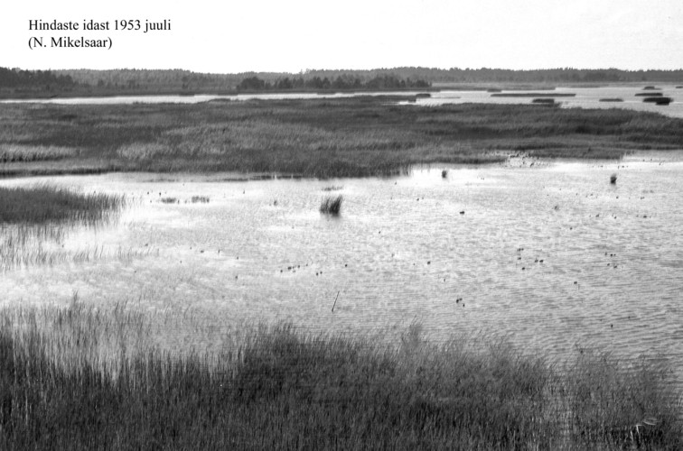 Maakond: Läänemaa Veekogu nimi: Hindaste Pildistamise aeg: juuli 1953 Pildistaja: N. Mikelsaar Pildistamise koht: E kaldalt Asimuut: W?