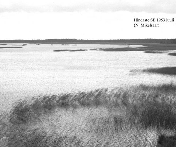 Maakond: Läänemaa Veekogu nimi: Hindaste Pildistamise aeg: juuli 1953 Pildistaja: N. Mikelsaar Pildistamise koht: SE Asimuut: N?