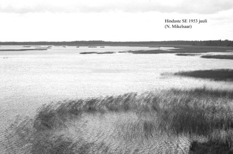 Maakond: Läänemaa Veekogu nimi: Hindaste Pildistamise aeg: juuli 1953 Pildistaja: N. Mikelsaar Pildistamise koht: SE Asimuut: N?