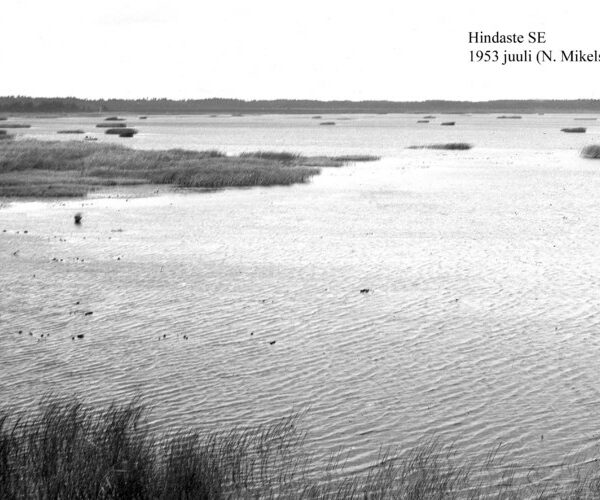 Maakond: Läänemaa Veekogu nimi: Hindaste Pildistamise aeg: juuli 1953 Pildistaja: N. Mikelsaar Pildistamise koht: SE Asimuut: W?