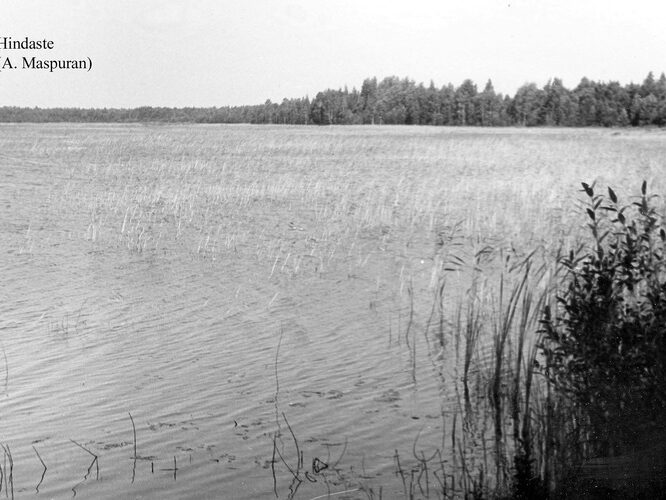 Maakond: Läänemaa Veekogu nimi: Hindaste Pildistamise aeg: teadmata Pildistaja: A. Maspuran Pildistamise koht: teadmata Asimuut: