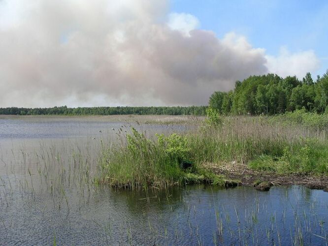 Maakond: Läänemaa Veekogu nimi: Hindaste järv Pildistamise aeg: 24. mai 2008 Pildistaja: H. Timm Pildistamise koht: teadmata Asimuut: