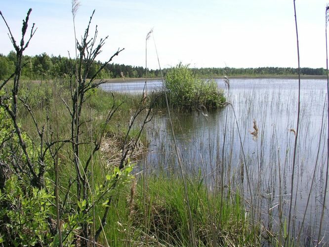 Maakond: Läänemaa Veekogu nimi: Hindaste järv Pildistamise aeg: 24. mai 2008 Pildistaja: H. Timm Pildistamise koht: teadmata Asimuut: